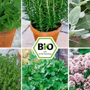 BIO Herbs