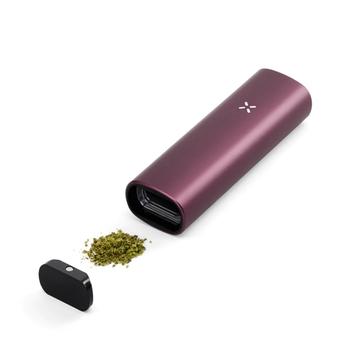 PAX Plus Vaporizer *Elderberry*