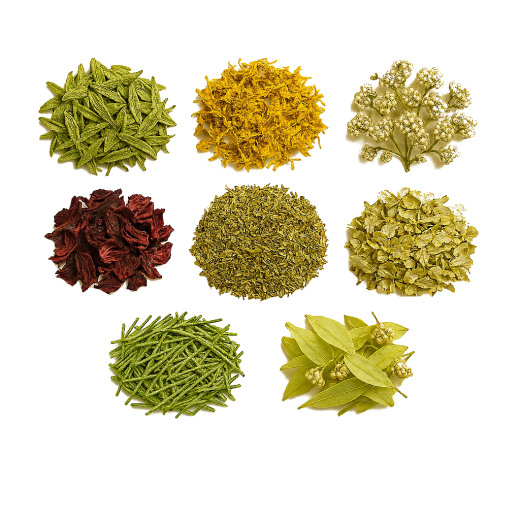 BIO Herb Pack VIII - Wellness-Mix - 8 Herbs