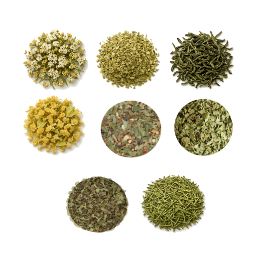 BIO Herb Pack V - Vital-Mix - 8 Herbs