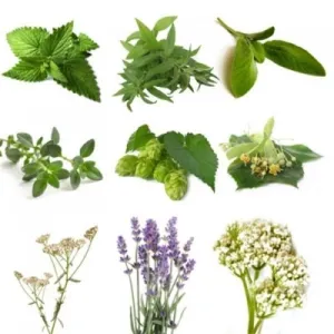 BIO Herb Pack IV (5 Herbs)