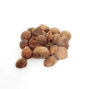 Guarana Seeds 10g BIO